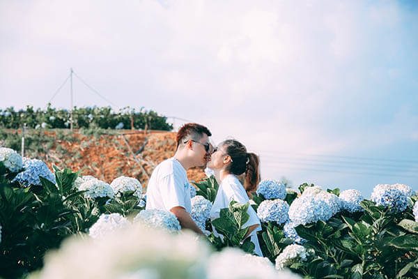 Album ảnh cưới tại vườn hoa Cẩm Tú Cầu Đà Lạt đẹp mê hồn (10)