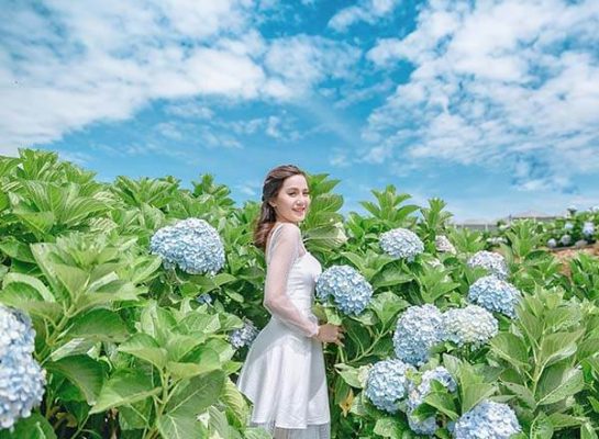 Album ảnh cưới tại vườn hoa Cẩm Tú Cầu Đà Lạt đẹp mê hồn (5)